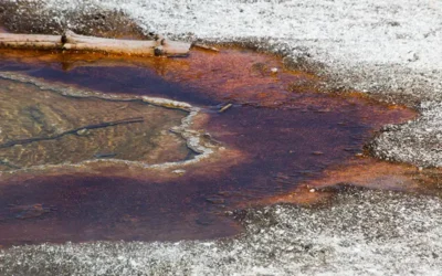 How Do You Remove Oil Stains From a Concrete Driveway?